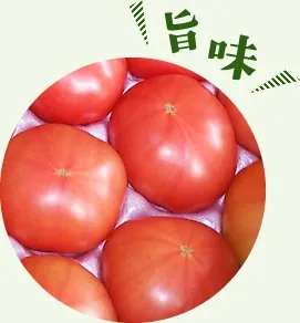 リコピンが豊富で味が濃い　旨味の強い立野農園の大玉トマト