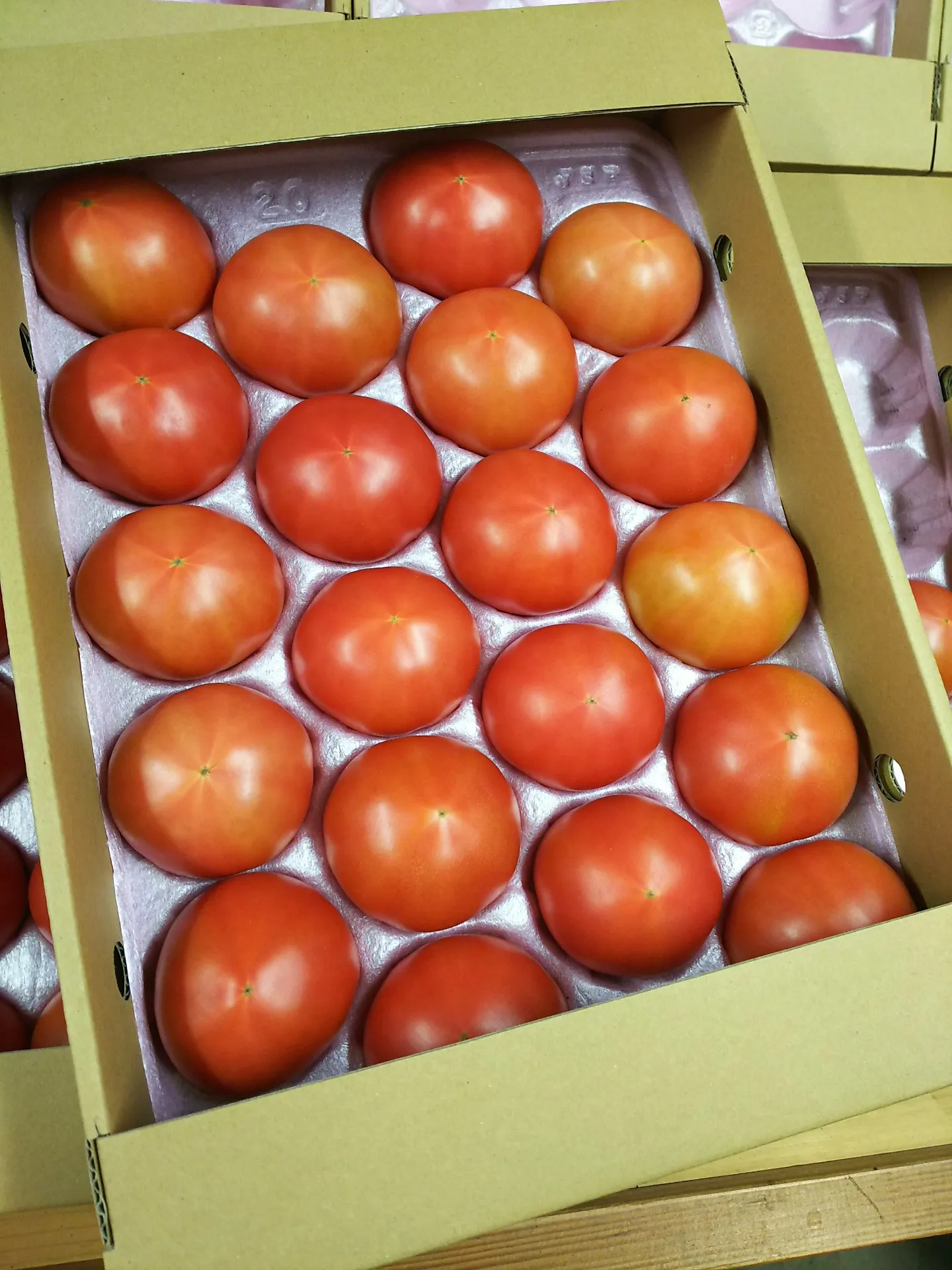 トマト　L　20玉